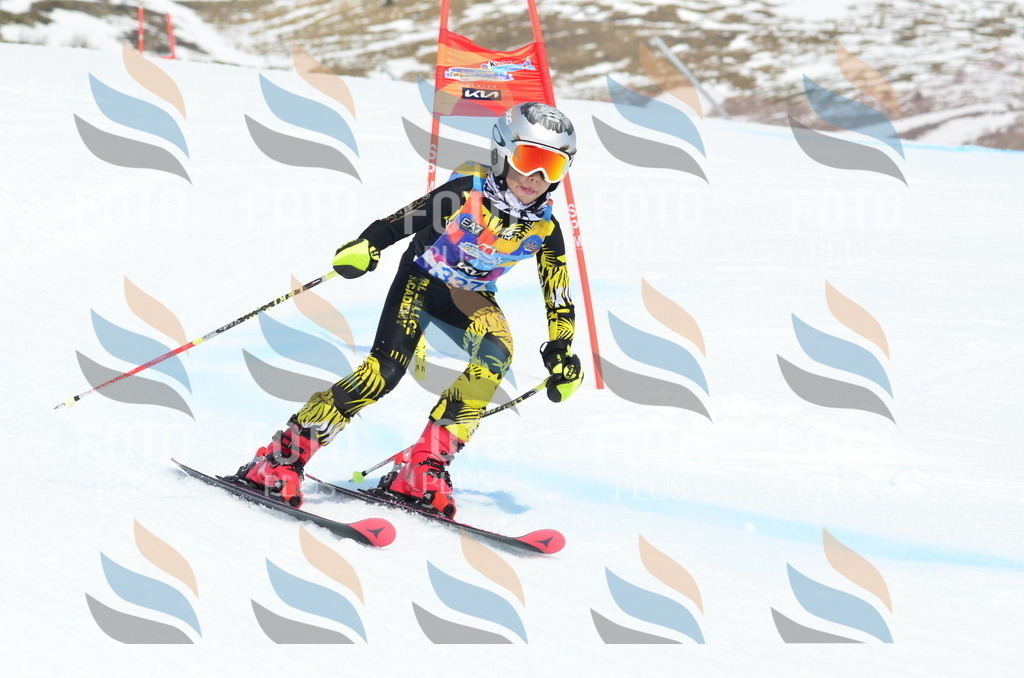 _ELE2502 | holidayphoto