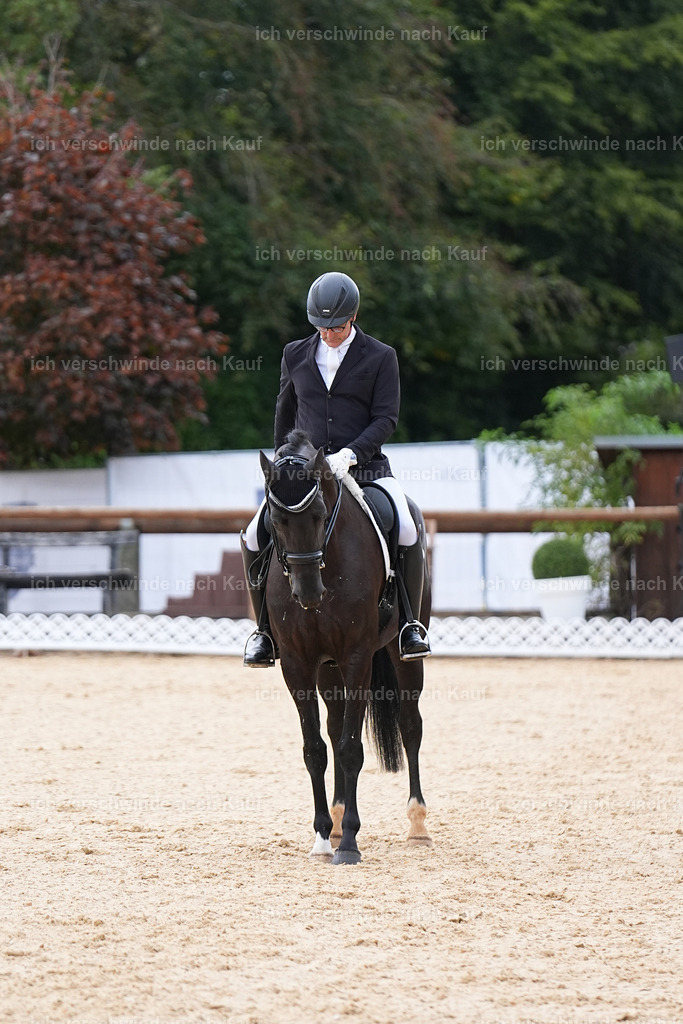 3-156-Dressur M_-Marixx-1894 | working equitationturnier fotograf videograf stoibphotography marixx film working equitation deutschland reitsport turnierfotografie eventfotografie equestrian events