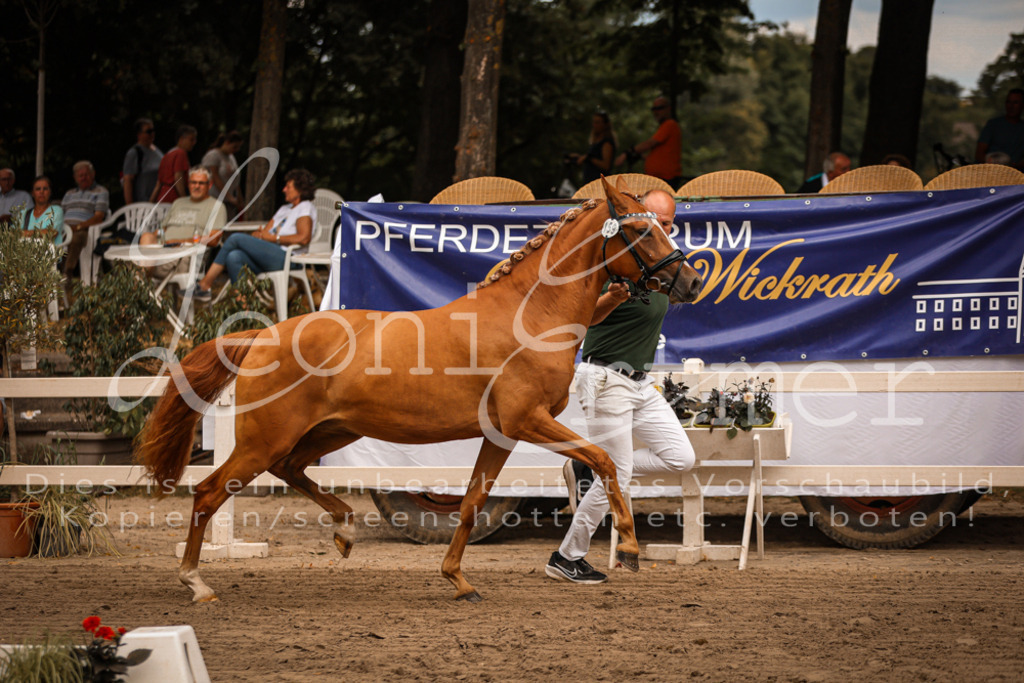 10.So00065 | Leoni Ertmer Photography - Realisiert mit Pictrs.com