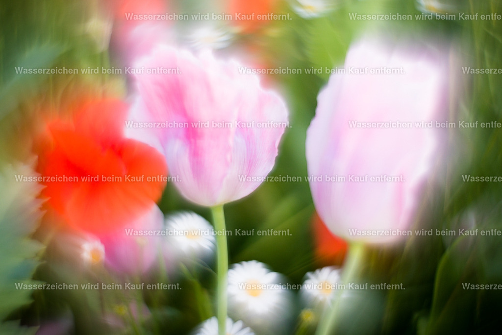Freude, Geselligkeit | Die Botschaft zum Bild lautet: Wenn du das Alleinsein satt hat, dann geh in die Freude und treffe dich mit Menschen. Genieße die Energien der Menschen, die Freude mit ihnen. Finde dadurch zu deiner Herzlichkeit und deiner Liebe. Diese Energien geben dir Freude und das Gefühl von Gemeinsamkeit an Tagen, wo man alleine ist.