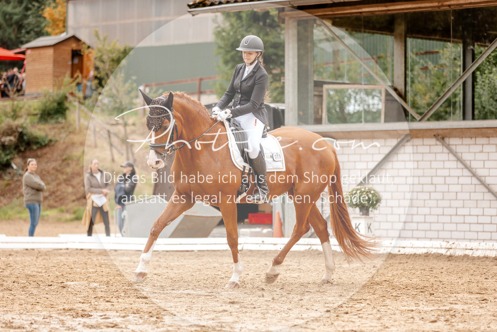 3I6A7697 | Stimmungsvolle Portraits und Reitsportfotografie im Ruhrgebiet und im Münsterland.

Pferdefotografie, Hundefotografie, Tierfotografie, Reportagen, Portraits von Tier und Mensch, Turnierfotografie in Bochum, Recklinghausen, Marl, Haltern am See, Dülmen.. - Realisiert mit Pictrs.com