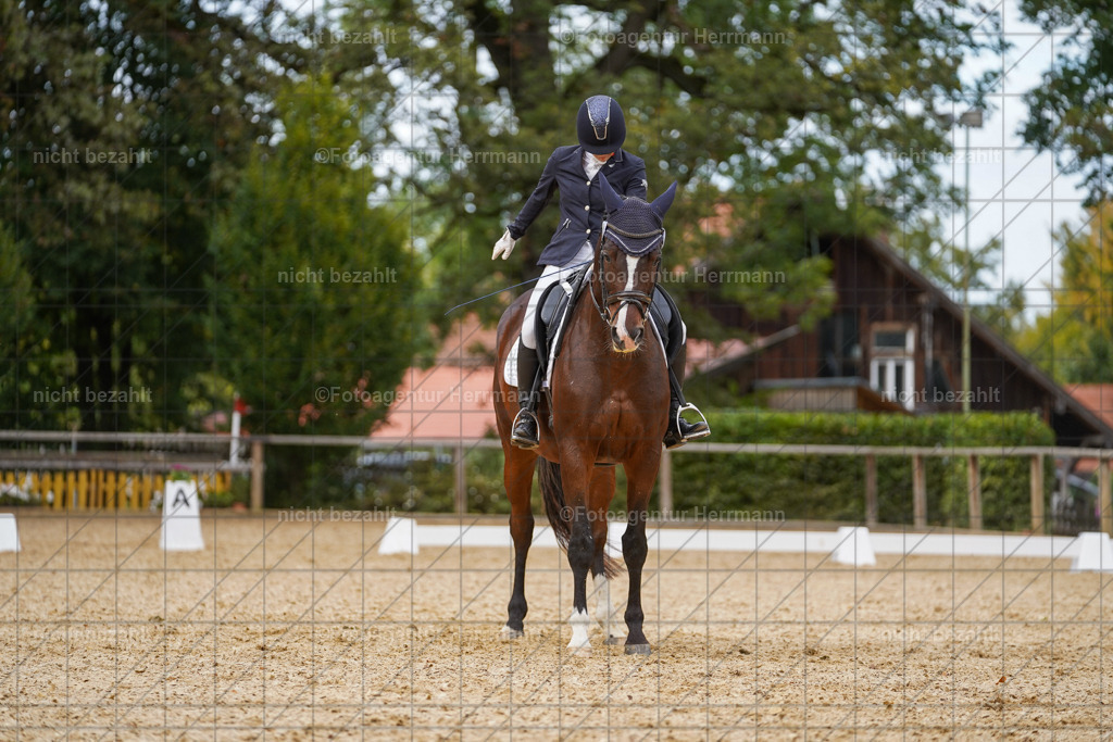 20231007-SN_00617 | Diessen am Ammersee, 2023, Dressur- und Springturnier, Reitsport, Turnierfotografie, Pferdebilder, Reitbilder, Turnierfotografen Bayern, Fotoagentur Herrmann