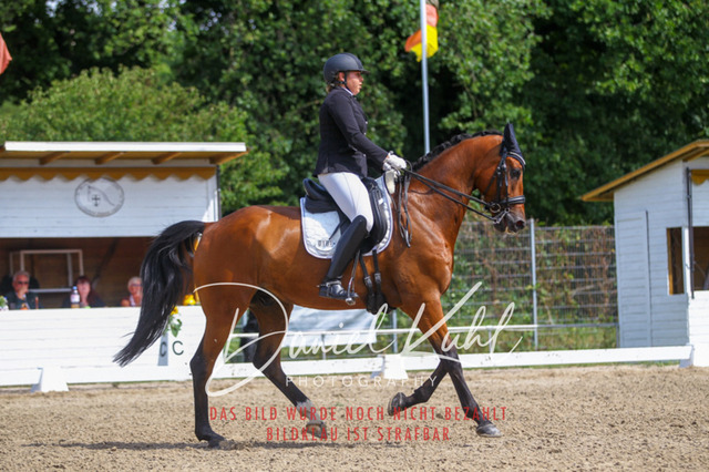 DKP41017 | Turniersportfotografie; Pferdefotografie; Dressurfotografie