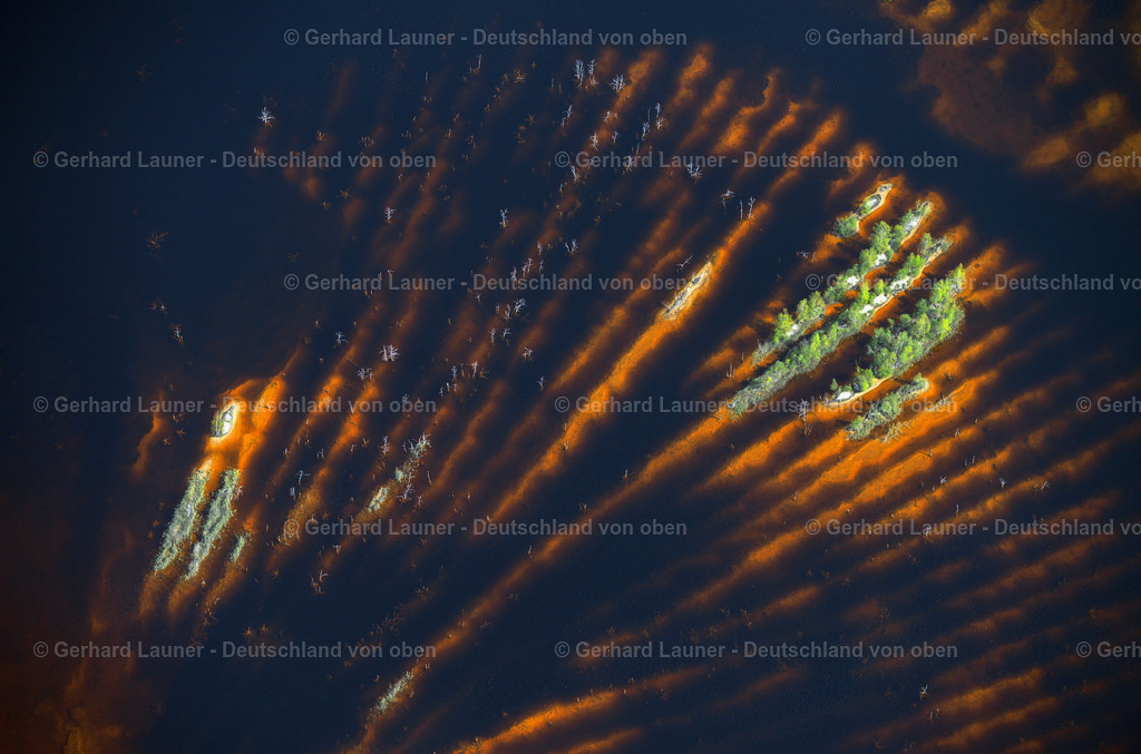3291967 | Baum-und Wasserstrukturen im Fabiansteich