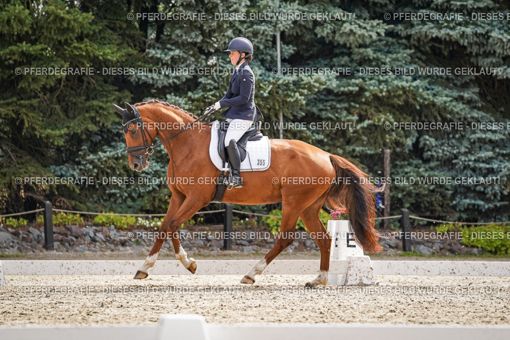 DSC07530 | Pferdegrafie