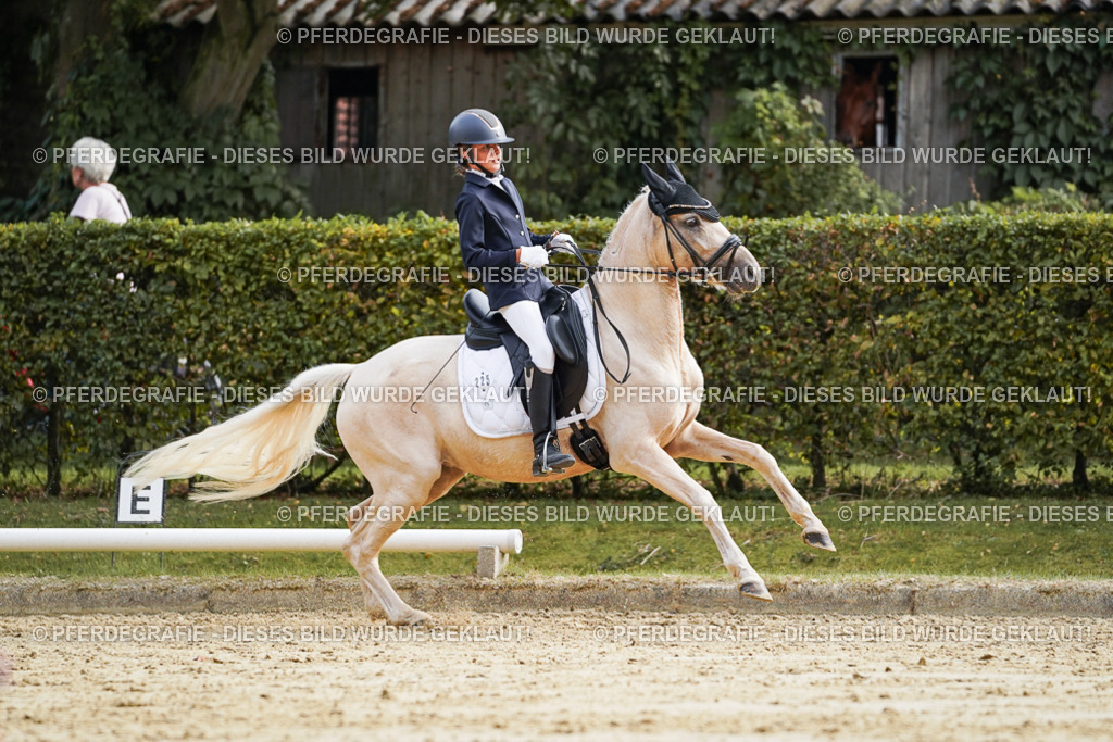 DSC04952 | Pferdegrafie