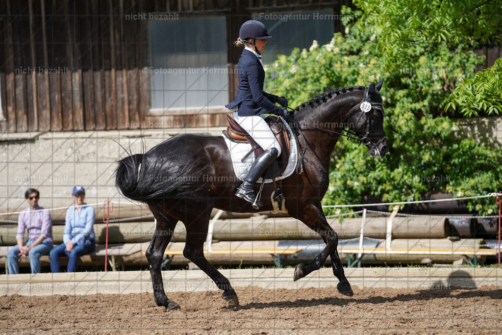 20240519-FAH04766 | Turnierbilder Niederseeon 2024, Vielseitigkeitsdressur, Reitsportbilder aus dem Landkreit Ebersberg, Gut Steinsee, RC Steinsee, Fotoagentur Herrmann