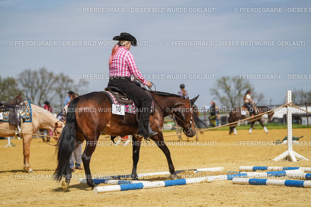 DSC05156 | Pferdegrafie