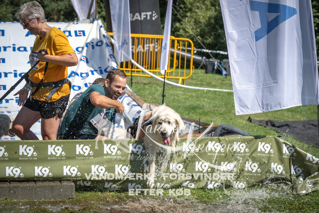 1308_ZZ98503 | kk-dogfotos