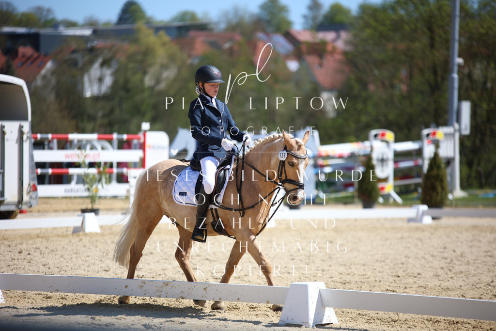 IMGT1063 | pl-fotografie