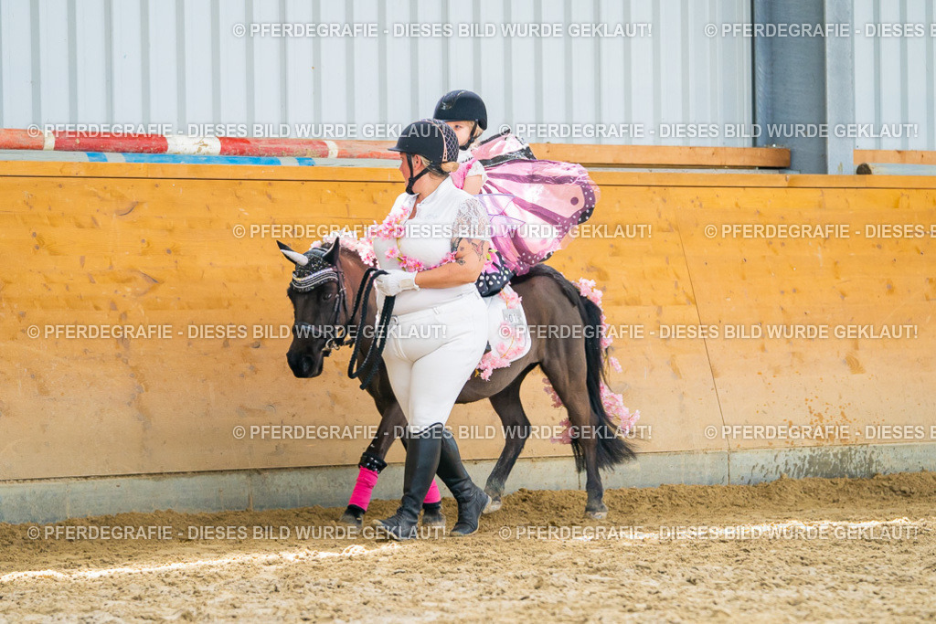 DSC00060 | Pferdegrafie