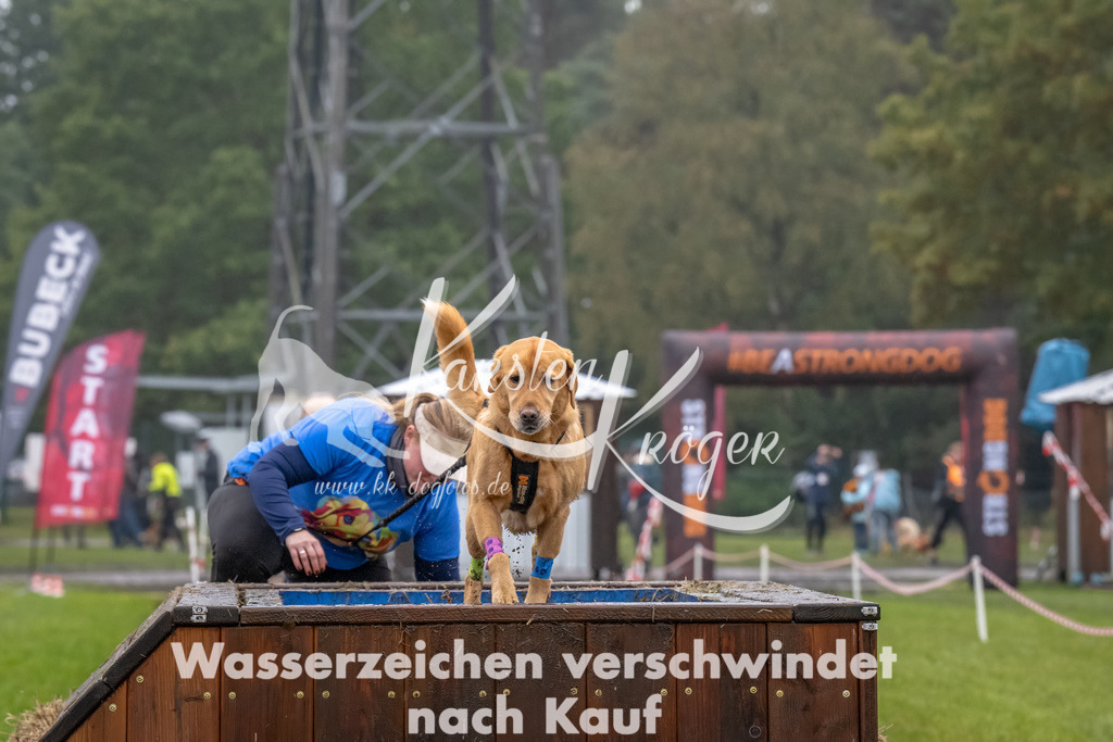 1229--19 | kk-dogfotos