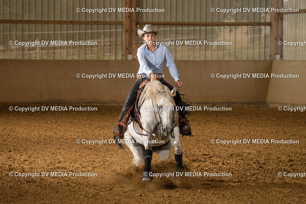 LAU00956 | dv-media-shop - Realisiert mit Pictrs.com