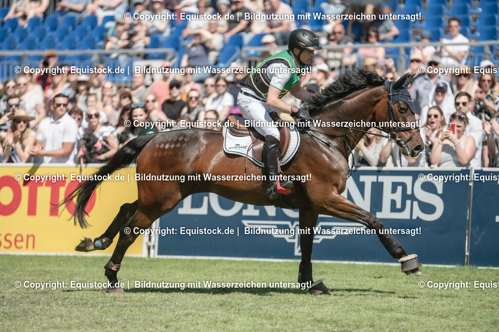 20230527_27_CCI4_Gelände_0405 | equistock