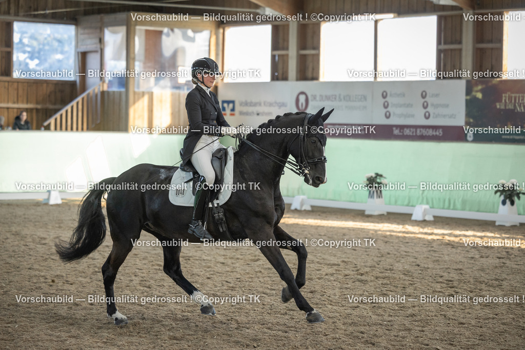 _D5A0790 | Emotionale Pferde- & People-Fotografie rund um Heidelberg, Leimen & Umgebung. Natürliche Fotos von Pferd, Mensch & Familie. Jetzt Termin sichern!