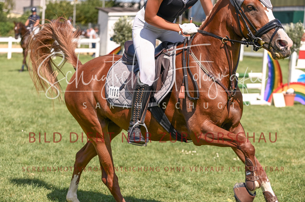 Schugtsche-Düren.2024.04-Stilspringprf.E-88 | Schugtsche Fotografie - Realisiert mit Pictrs.com