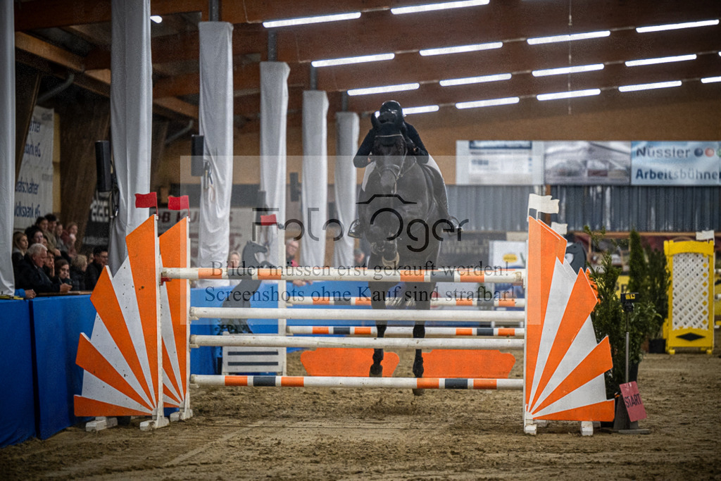 DOS_0553 | Entdecke hochwertige Reitturnierfotos von Foto Oger. Professionell, emotional und authentisch – jetzt Lieblingsmomente im Shop bestellen.Deutschlandweite Turnierfotografie. - Realisiert mit Pictrs.com