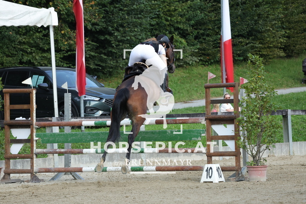 0P6A6145 | Willkommen bei Brunnmayr - Design & Fotografie – Ihrem Spezialisten für Reitturniere und Pferdeveranstaltungen in Oberösterreich, Salzburg und Bayern! Seit über 17 Jahren sind wir leidenschaftlich dabei.