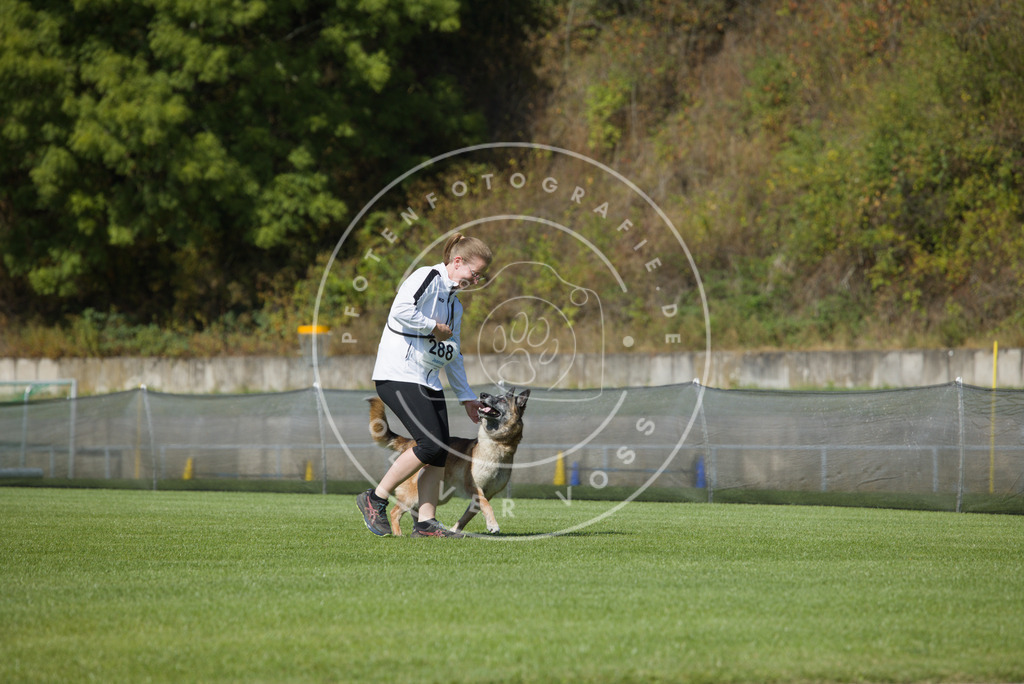 0L8A2581 | Hundefotografie, Tierfotograf, Pfotenfotografie, Fotoshooting Hund, Hunde Portrait, Hundesport, Hundeportraits, Heideshooting, Hunde, Sportfotograf, Hundefotograf, Turnierhundsport, THS,  - Realisiert mit Pictrs.com