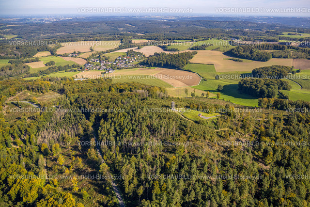 Balve230907591 | Luftbild, Aussichtsturm Ebberg im Waldgebiet mit Waldschäden, Eisborn, Balve, Sauerland, Nordrhein-Westfalen, Deutschland