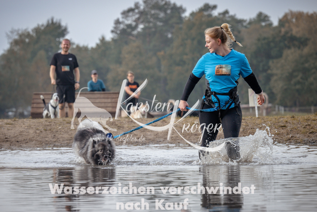 1121_ZZ94112 | kk-dogfotos
