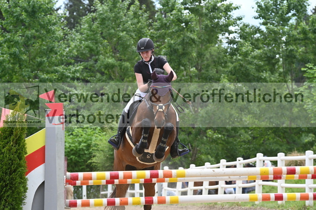 DSC_8479 | equestrian-live-com