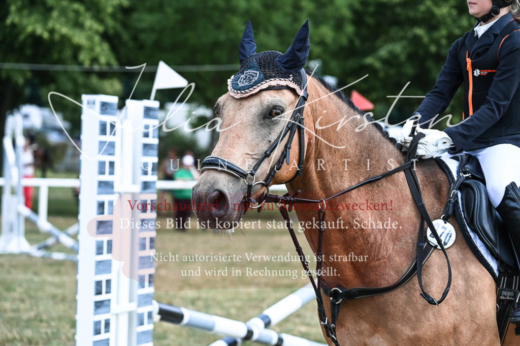 DSC_9698 | Pferde- und Turnierfotografie in Westsachsen. Pferdeportraits, Auftragszeichnungen und intuitive Kunst.
