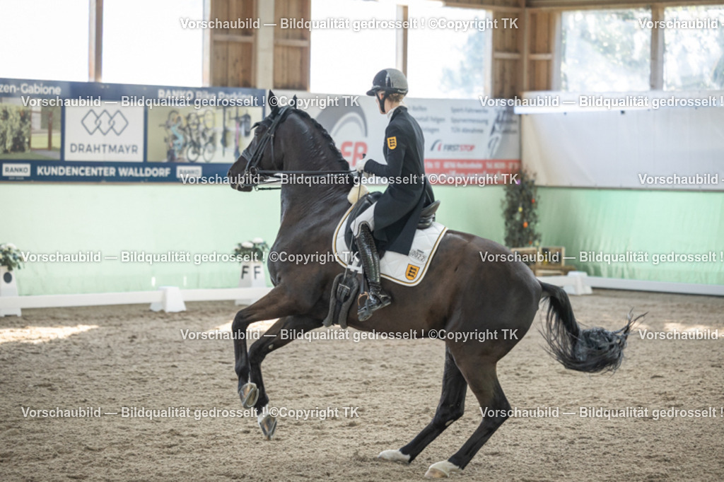 _D5A0316 | Emotionale Pferde- & People-Fotografie rund um Heidelberg, Leimen & Umgebung. Natürliche Fotos von Pferd, Mensch & Familie. Jetzt Termin sichern!