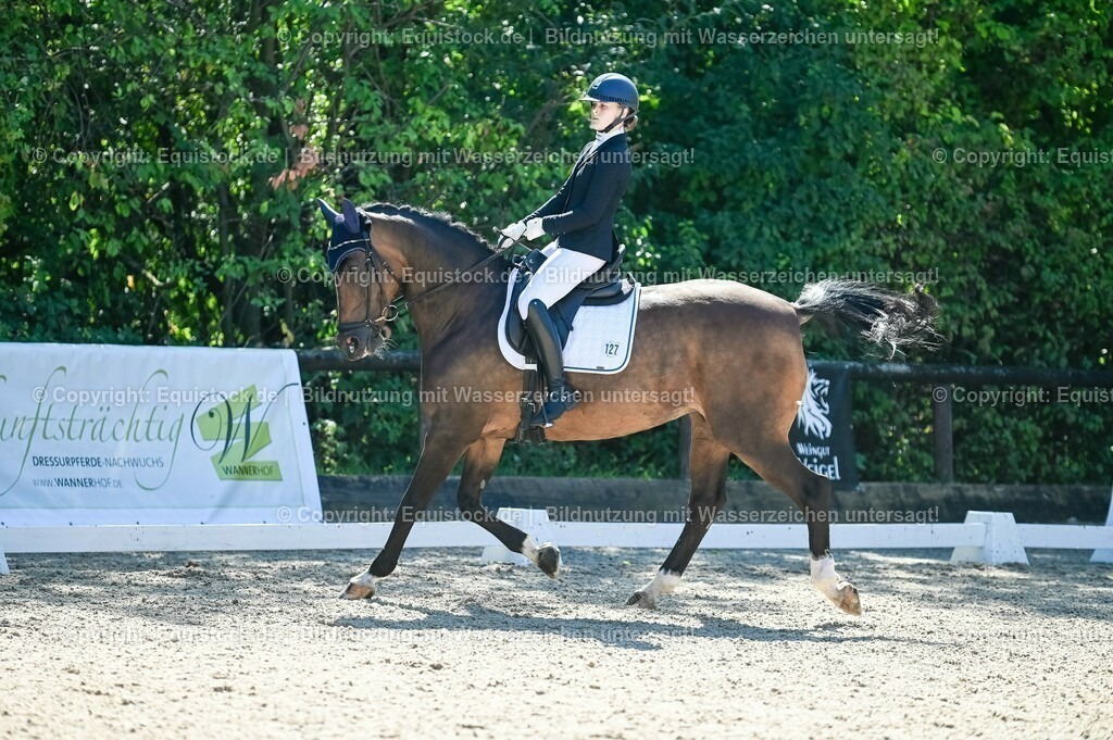20230908_06_Dressur-L-Trense_0417 | equistock