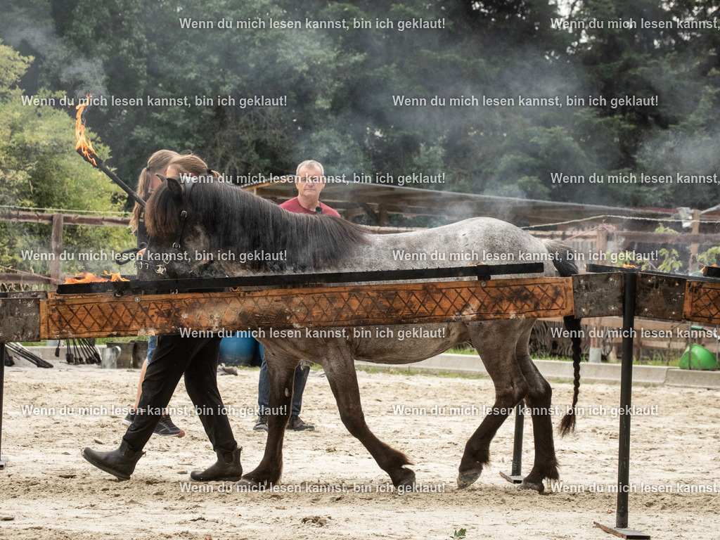 598A7117 | photographylinaismer - Realisiert mit Pictrs.com