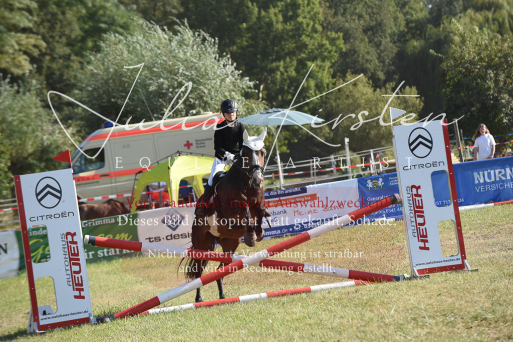 DSC_5738 | Pferde- und Turnierfotografie in Westsachsen. Pferdeportraits, Auftragszeichnungen und intuitive Kunst.