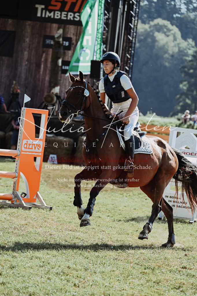 DSC_5428 | Pferde- und Turnierfotografie in Westsachsen. Pferdeportraits, Auftragszeichnungen und intuitive Kunst.