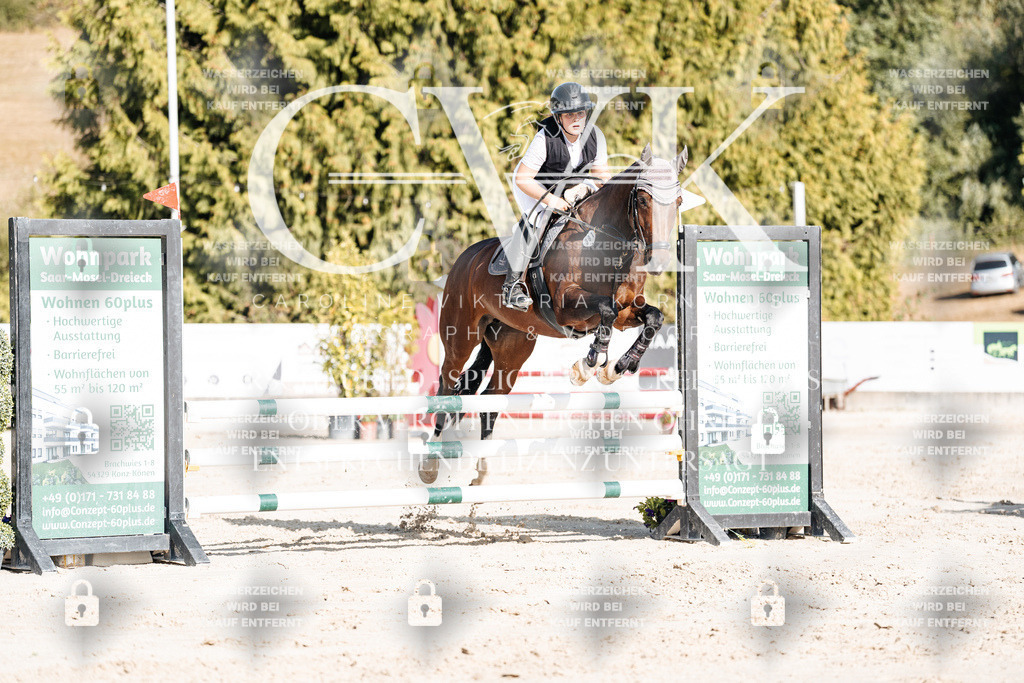 CK909283 | Turnierfotografie Pferdefotografie Trier Rheinland-Pfalz Pferdesport Reitsport Tierfotografie Sportfotografie Pferdevideo Pferdevideografie Equestrianvideography equestrianphotography  - Realisiert mit Pictrs.com