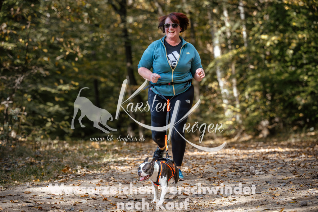 1247_ZZ96206 | kk-dogfotos