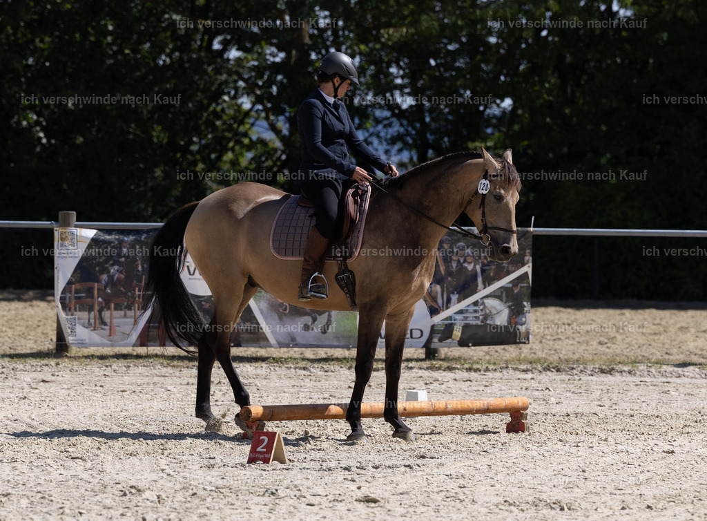WA_Trail_120_KerstinBernhardt-4 | working equitationturnier fotograf videograf stoibphotography marixx film working equitation deutschland reitsport turnierfotografie eventfotografie equestrian events