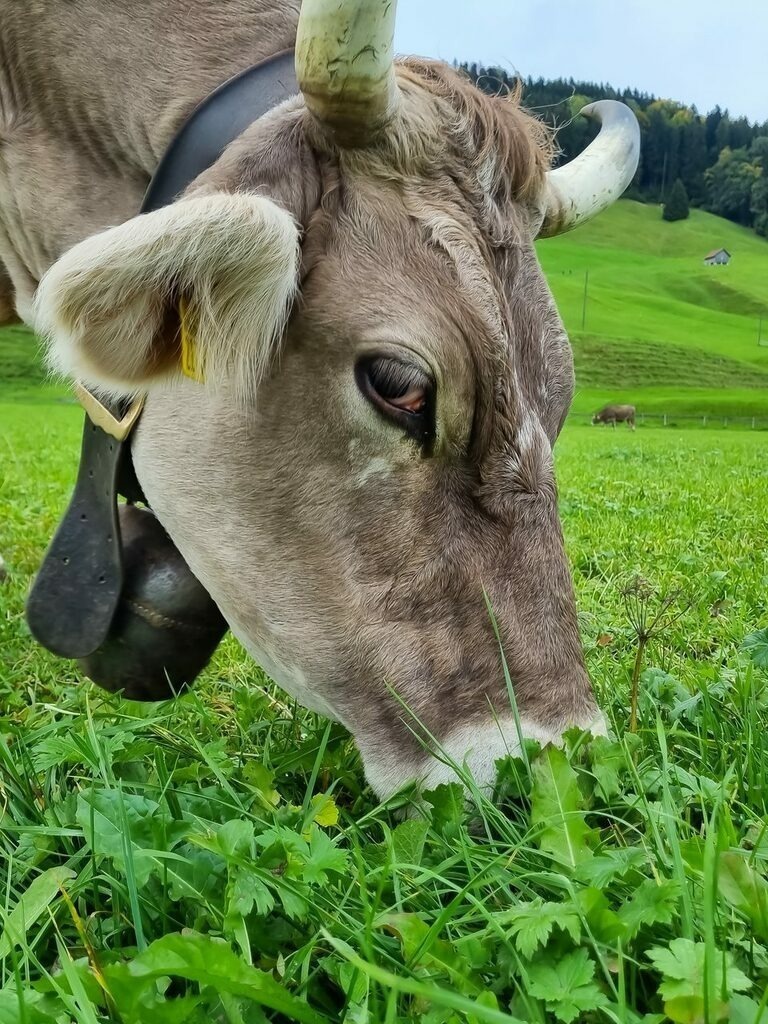 PSX_20221003_232155 | mtkfoto_ - Realisiert mit Pictrs.com