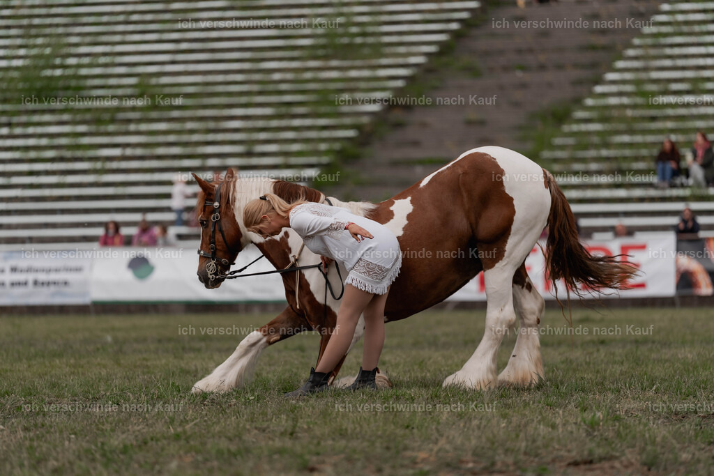 Showprogramm-446 | working equitationturnier fotograf videograf stoibphotography marixx film working equitation deutschland reitsport turnierfotografie eventfotografie equestrian events