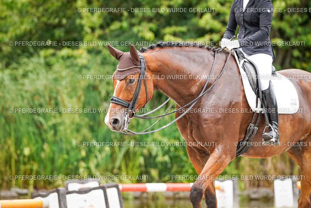 DSC06563 | Pferdegrafie