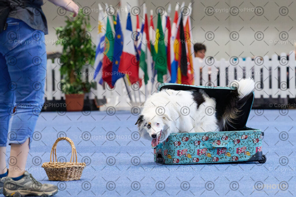 202406_ÖKV-IHA-Tulln24_DSC_4529 | proPHOTO - Realisiert mit Pictrs.com