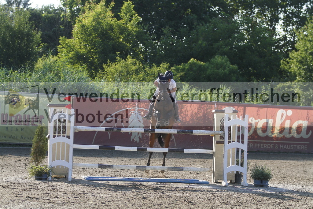 _MG_6954 | equestrian-live-com