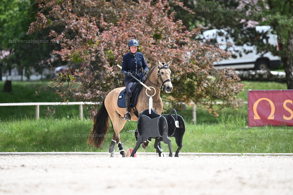 PI26_ST_Sara_Landvogt226_3571.JPG | working equitationturnier fotograf videograf stoibphotography marixx film working equitation deutschland reitsport turnierfotografie eventfotografie equestrian events