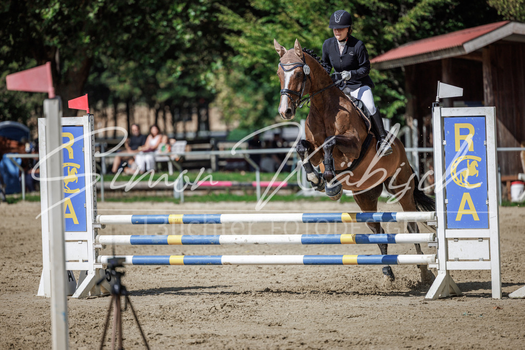 20260905-_3LI9147 | Tierfotografie Pferde, Hunde, Katzen, Haustiere.
Turnierfotografie Reitturniere, Reiten, Springreiten, Dressur in Hanau, dem Main-Kinzig-Kreis und dem Rhein-Main- Gebiet um Frankfurt