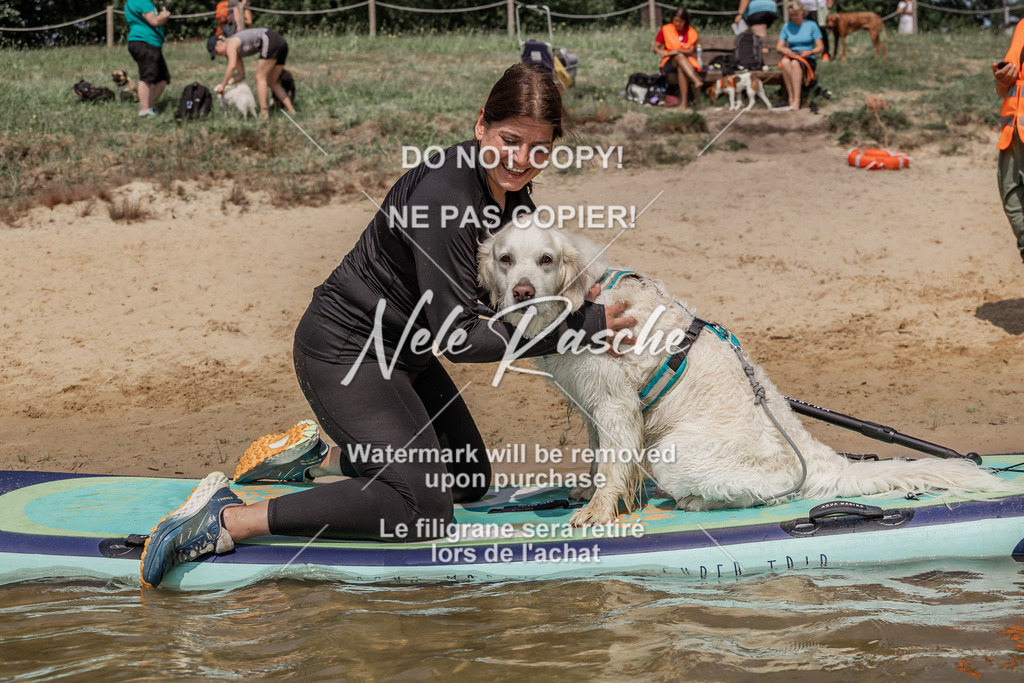 BUHU_SUP_674 | nelerasche