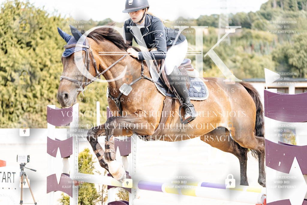 CK902198 | Turnierfotografie Pferdefotografie Trier Rheinland-Pfalz Pferdesport Reitsport Tierfotografie Sportfotografie Pferdevideo Pferdevideografie Equestrianvideography equestrianphotography  - Realisiert mit Pictrs.com