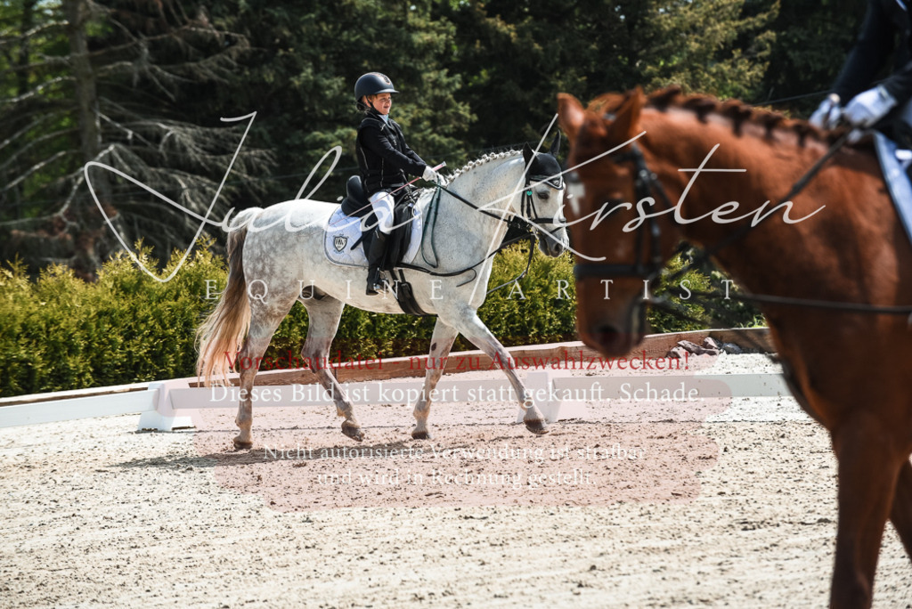 20230518_JK-Röhrsdorf-11-0451 | Pferde- und Turnierfotografie in Westsachsen. Pferdeportraits, Auftragszeichnungen und intuitive Kunst.