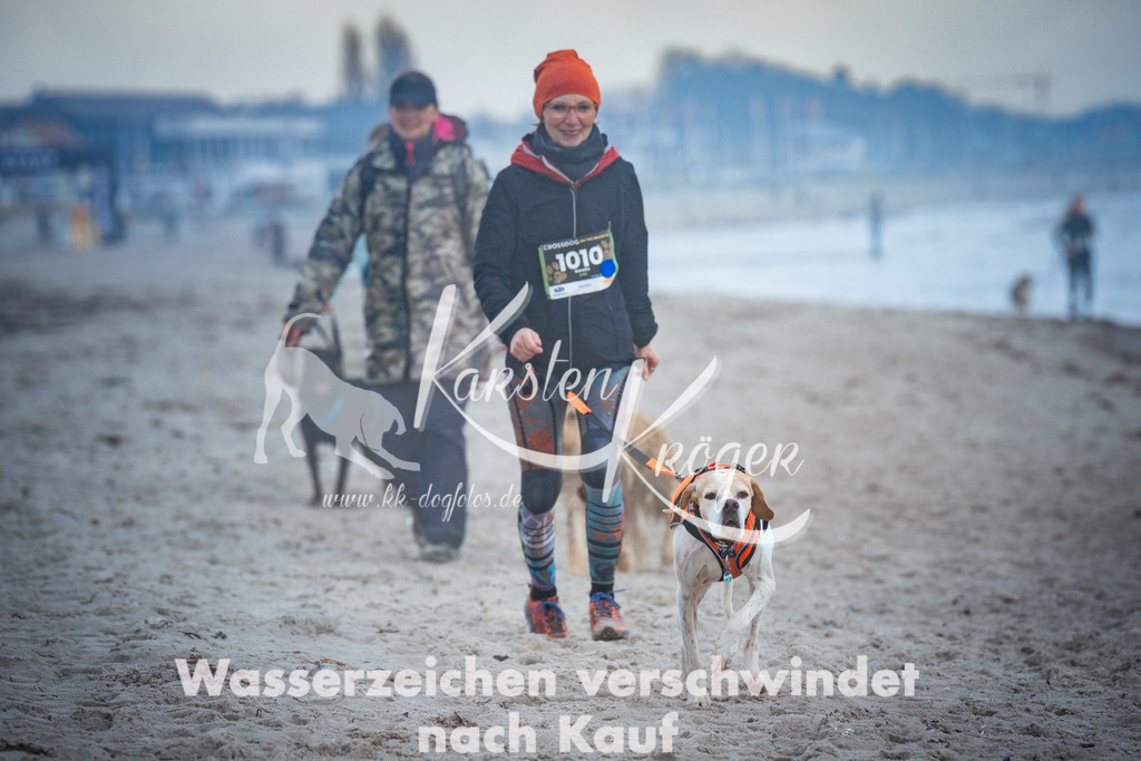 1123_ZZ98090 | kk-dogfotos