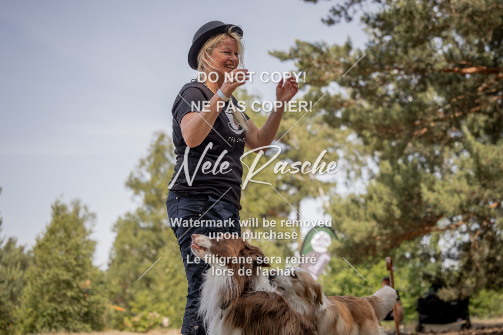 nelerasche_soDD2_179 | nelerasche