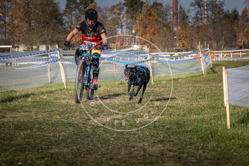 CaniXpix_0L8A6503 | Hundefotografie, Tierfotograf, Pfotenfotografie, Fotoshooting Hund, Hunde Portrait, Hundesport, Hundeportraits, Heideshooting, Hunde, Sportfotograf, Hundefotograf, Turnierhundsport, THS,  - Realisiert mit Pictrs.com
