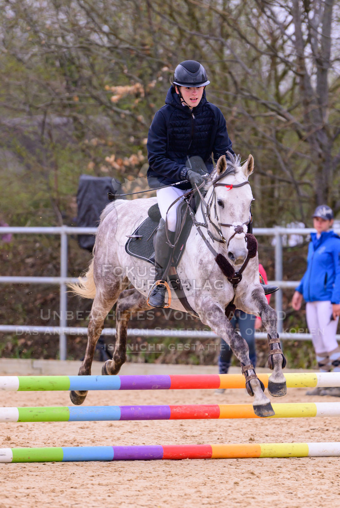 12042026-Mammendorf-Prfg40-0972 | Fokus Hufschlag Fotografie - Realisiert mit Pictrs.com