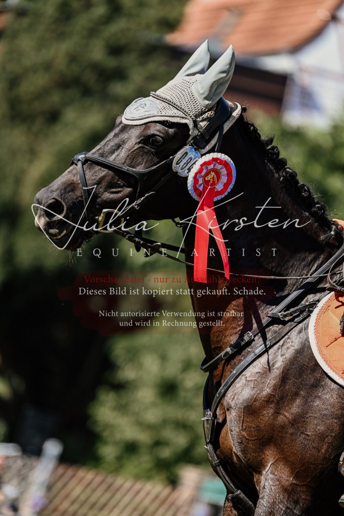 DSC_2617 | Pferde- und Turnierfotografie in Westsachsen. Pferdeportraits, Auftragszeichnungen und intuitive Kunst.